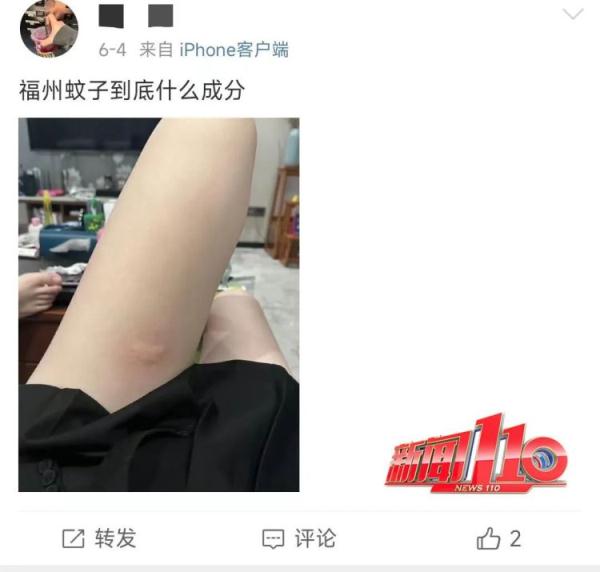 太离谱！2天被咬32个包！很多福州人已崩溃