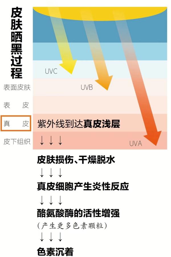 直冲36℃！武汉今年首个高温预警来了