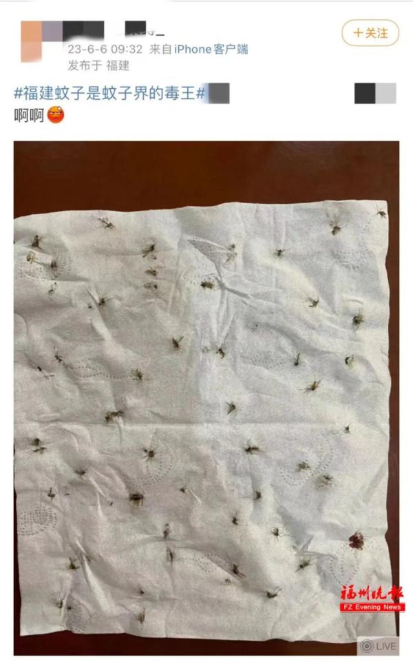 太离谱！2天被咬32个包！很多福州人已崩溃