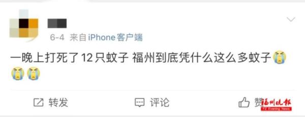 太离谱！2天被咬32个包！很多福州人已崩溃