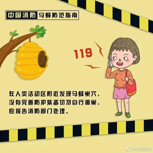 蜂出没，请注意，消防员化身“清蜂侠”