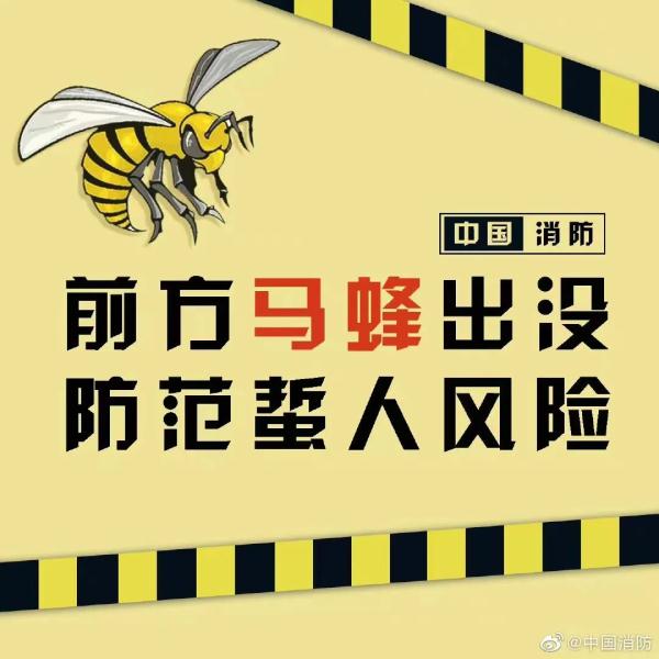 蜂出没，请注意，消防员化身“清蜂侠”