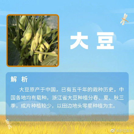 夏粮收什么?小麦以外的夏粮,你还知道哪些? 夏粮收什么?小麦以外的夏粮,你还知道哪些?