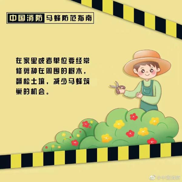 蜂出没，请注意，消防员化身“清蜂侠”