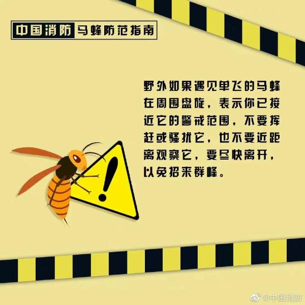 蜂出没，请注意，消防员化身“清蜂侠”