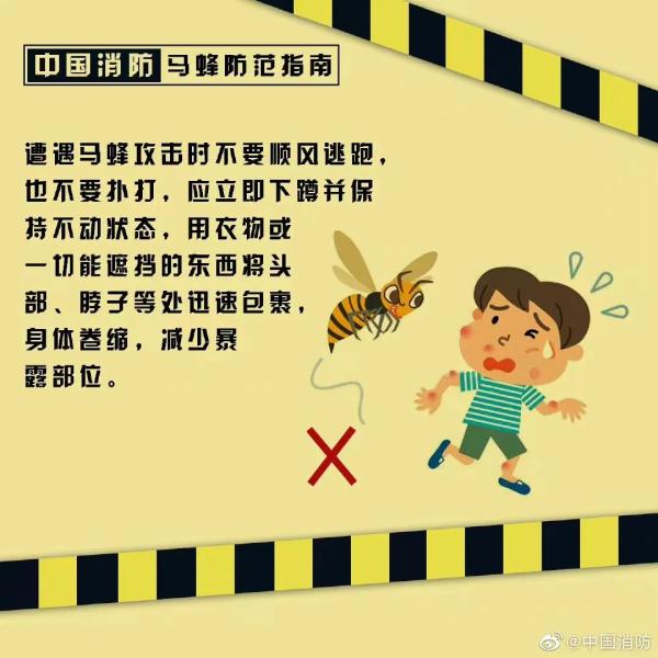 蜂出没，请注意，消防员化身“清蜂侠”