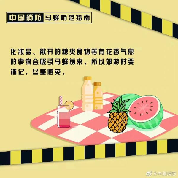 蜂出没，请注意，消防员化身“清蜂侠”