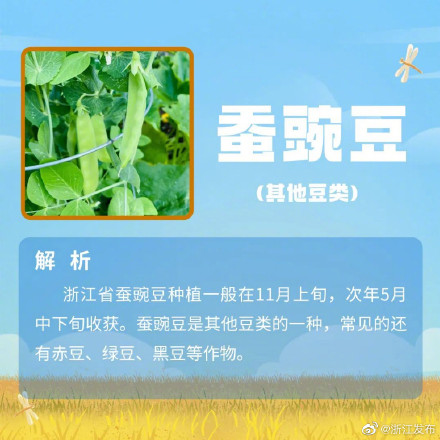 夏粮收什么?小麦以外的夏粮,你还知道哪些? 夏粮收什么?小麦以外的夏粮,你还知道哪些?