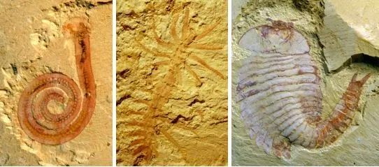 总量排名全国第二!你知道云南这些“宝藏”吗? 总量排名全国第二!你知道云南这些“宝藏”吗?