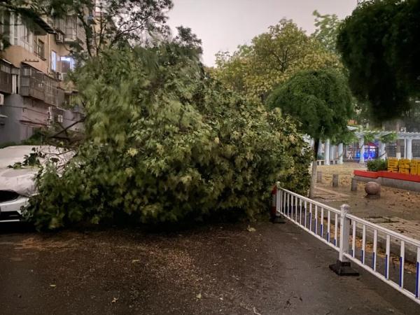 刚刚，南京狂风暴雨！接下来的天气······
