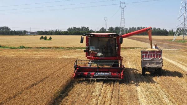 新华全媒+|从单纯“比多”到“比少”看河北农业绿色发展