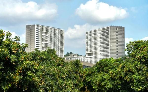 预估10万斤！“荔枝大学”免费吃荔枝！网友：羡慕了