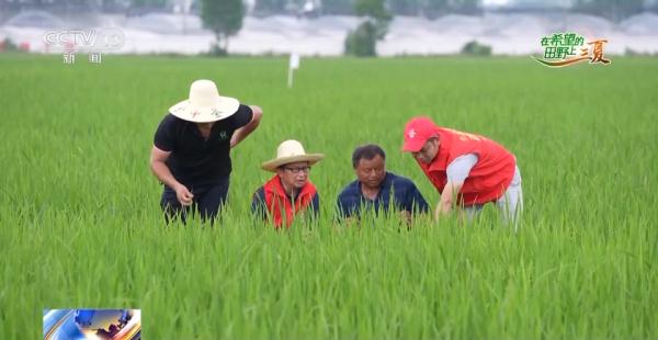 奔跑的“三夏” &nbsp;他们全力护航！