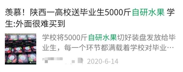预估10万斤！“荔枝大学”免费吃荔枝！网友：羡慕了