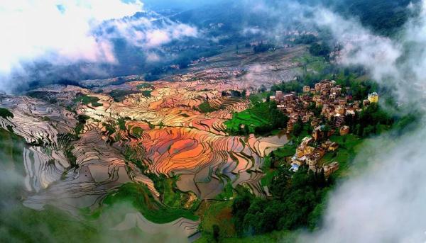 总量排名全国第二!你知道云南这些“宝藏”吗? 总量排名全国第二!你知道云南这些“宝藏”吗?