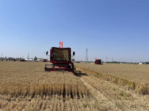 新华全媒+|从单纯“比多”到“比少”看河北农业绿色发展