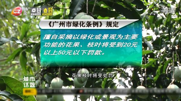 最近广州路边这种“水果”掉满地！提醒：千万别吃！