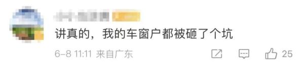 最近广州路边这种“水果”掉满地！提醒：千万别吃！