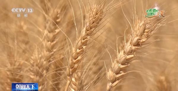 奔跑的“三夏” &nbsp;他们全力护航！