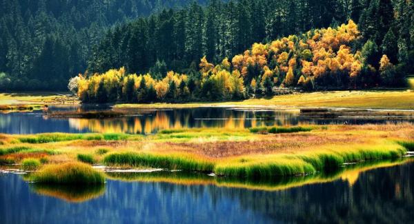 总量排名全国第二!你知道云南这些“宝藏”吗? 总量排名全国第二!你知道云南这些“宝藏”吗?