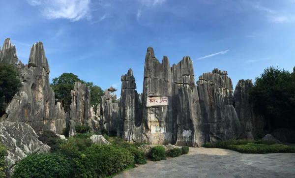 总量排名全国第二!你知道云南这些“宝藏”吗? 总量排名全国第二!你知道云南这些“宝藏”吗?