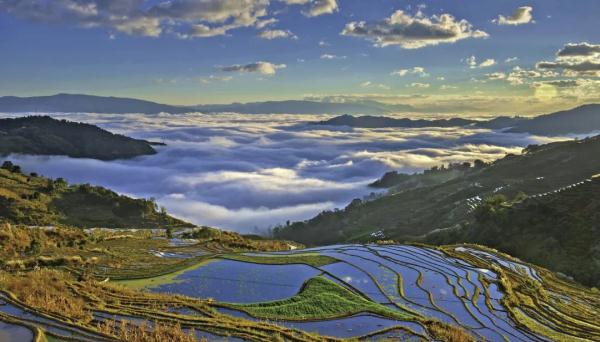 总量排名全国第二!你知道云南这些“宝藏”吗? 总量排名全国第二!你知道云南这些“宝藏”吗?