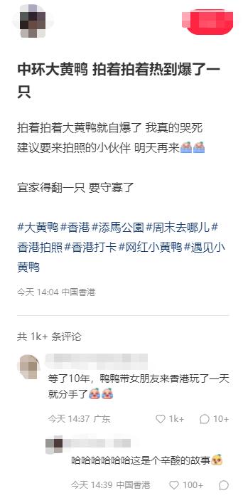 香港中环大黄鸭“热瘪了”，这都行？？