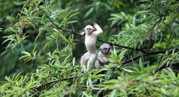 总量排名全国第二!你知道云南这些“宝藏”吗? 总量排名全国第二!你知道云南这些“宝藏”吗?