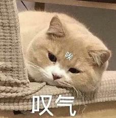 老人在大学篮球场跳广场舞被撞，索赔20万？法院这样判...