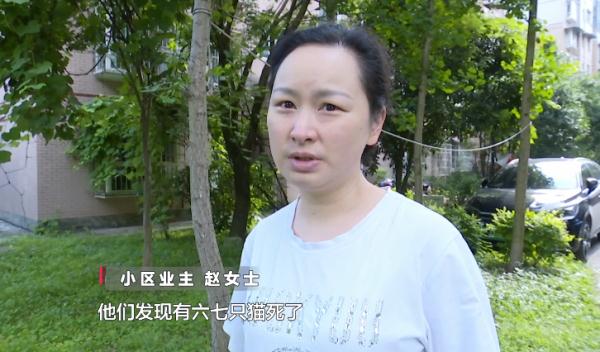 十几只宠物一夜之间离奇死亡,小区业主很担忧!警方已介入→ 十几只宠物一夜之间离奇死亡,小区业主很担忧!警方已介入→