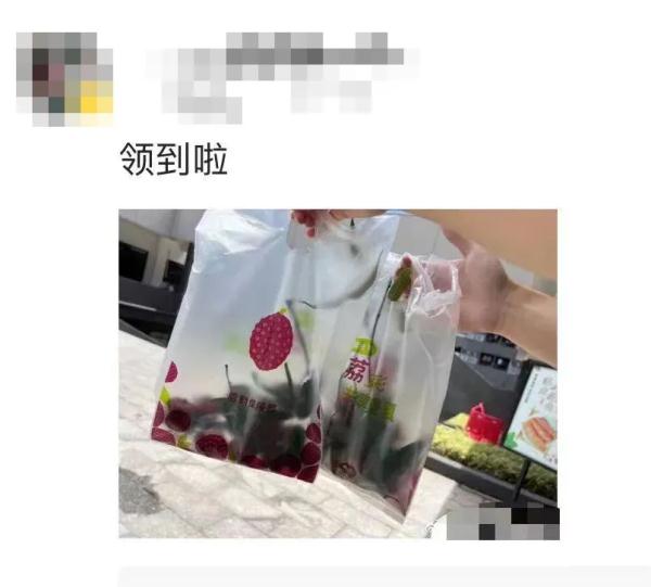 大学10万斤荔枝免费吃!网友:羡慕这词已经说倦了…… 大学10万斤荔枝免费吃!网友:羡慕这词已经说倦了……