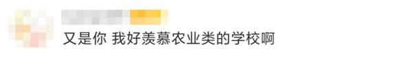 大学10万斤荔枝免费吃!网友:羡慕这词已经说倦了…… 大学10万斤荔枝免费吃!网友:羡慕这词已经说倦了……