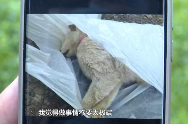 十几只宠物一夜之间离奇死亡,小区业主很担忧!警方已介入→ 十几只宠物一夜之间离奇死亡,小区业主很担忧!警方已介入→