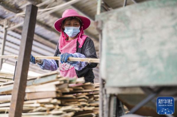 湖南双峰:竹产业助力乡村振兴 湖南双峰:竹产业助力乡村振兴