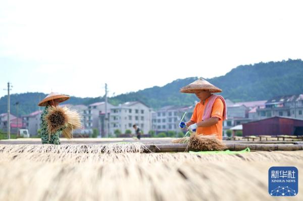 湖南双峰:竹产业助力乡村振兴 湖南双峰:竹产业助力乡村振兴
