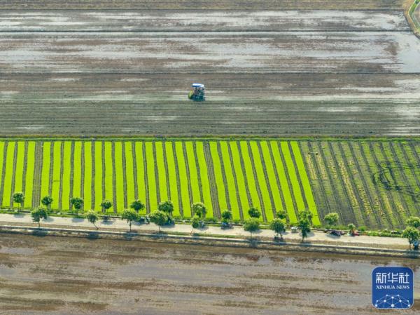 夏日劳作忙 夏日劳作忙