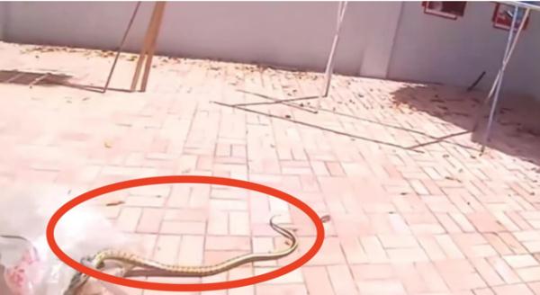 安徽已发生多起！近期务必注意！