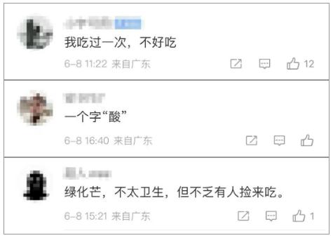 广东又开始“下芒果”了!能吃吗?好吃吗? 广东又开始“下芒果”了!能吃吗?好吃吗?