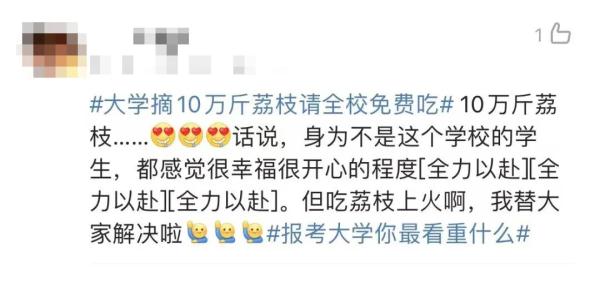 大学10万斤荔枝免费吃!网友:羡慕这词已经说倦了…… 大学10万斤荔枝免费吃!网友:羡慕这词已经说倦了……