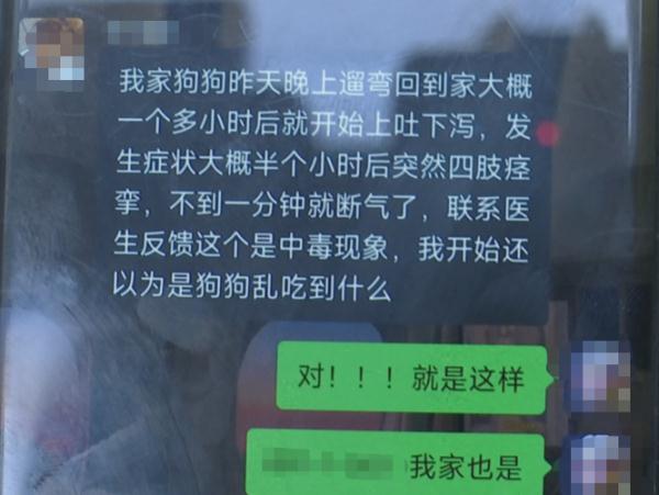 十几只宠物一夜之间离奇死亡,小区业主很担忧!警方已介入→ 十几只宠物一夜之间离奇死亡,小区业主很担忧!警方已介入→