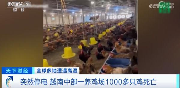 45℃！罕见高温！越南深陷“停电危机”…