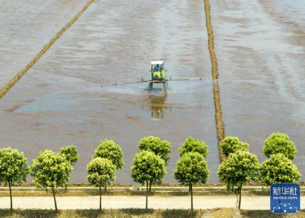 夏日劳作忙 夏日劳作忙