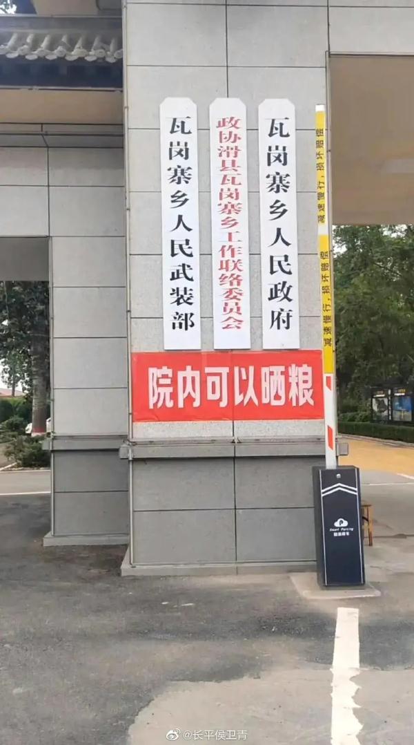 河南一乡政府院内可以晒粮！