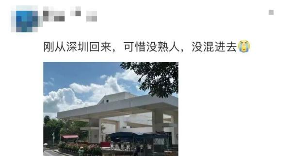 大学10万斤荔枝免费吃!网友:羡慕这词已经说倦了…… 大学10万斤荔枝免费吃!网友:羡慕这词已经说倦了……