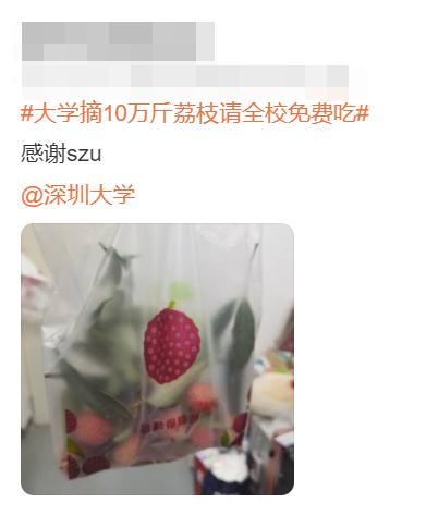 大学10万斤荔枝免费吃!网友:羡慕这词已经说倦了…… 大学10万斤荔枝免费吃!网友:羡慕这词已经说倦了……