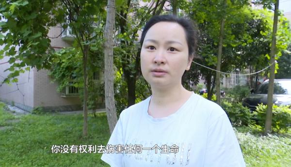 十几只宠物一夜之间离奇死亡,小区业主很担忧!警方已介入→ 十几只宠物一夜之间离奇死亡,小区业主很担忧!警方已介入→