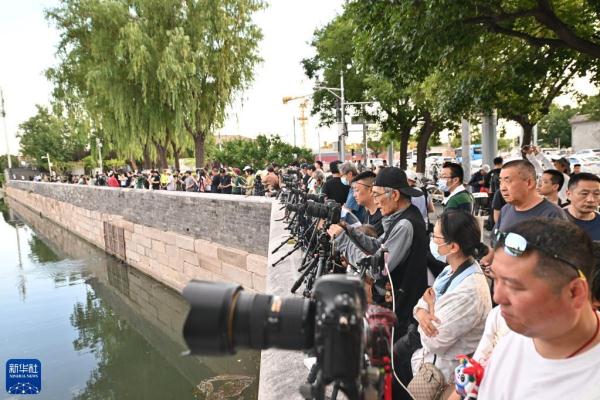 雨后故宫角楼引游人 雨后故宫角楼引游人