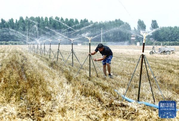 夏日劳作忙 夏日劳作忙