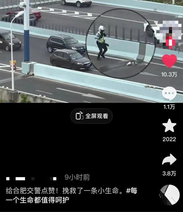 合肥交警一个举动，登上热搜！