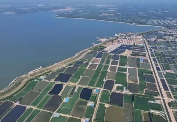 东平湖畔“渔光曲”